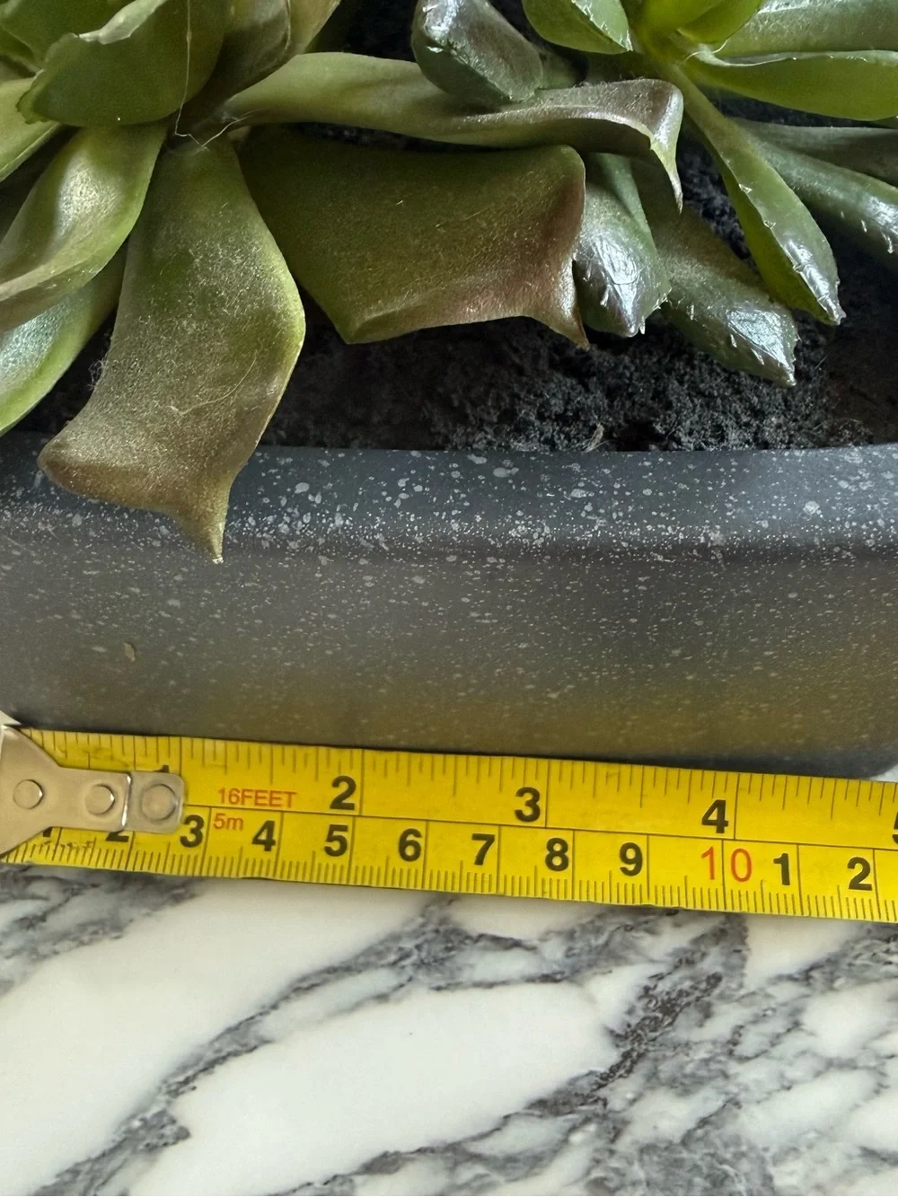 Crate and Barrel Potted Faux Succulent Arrangement in Matte Black Planter Box